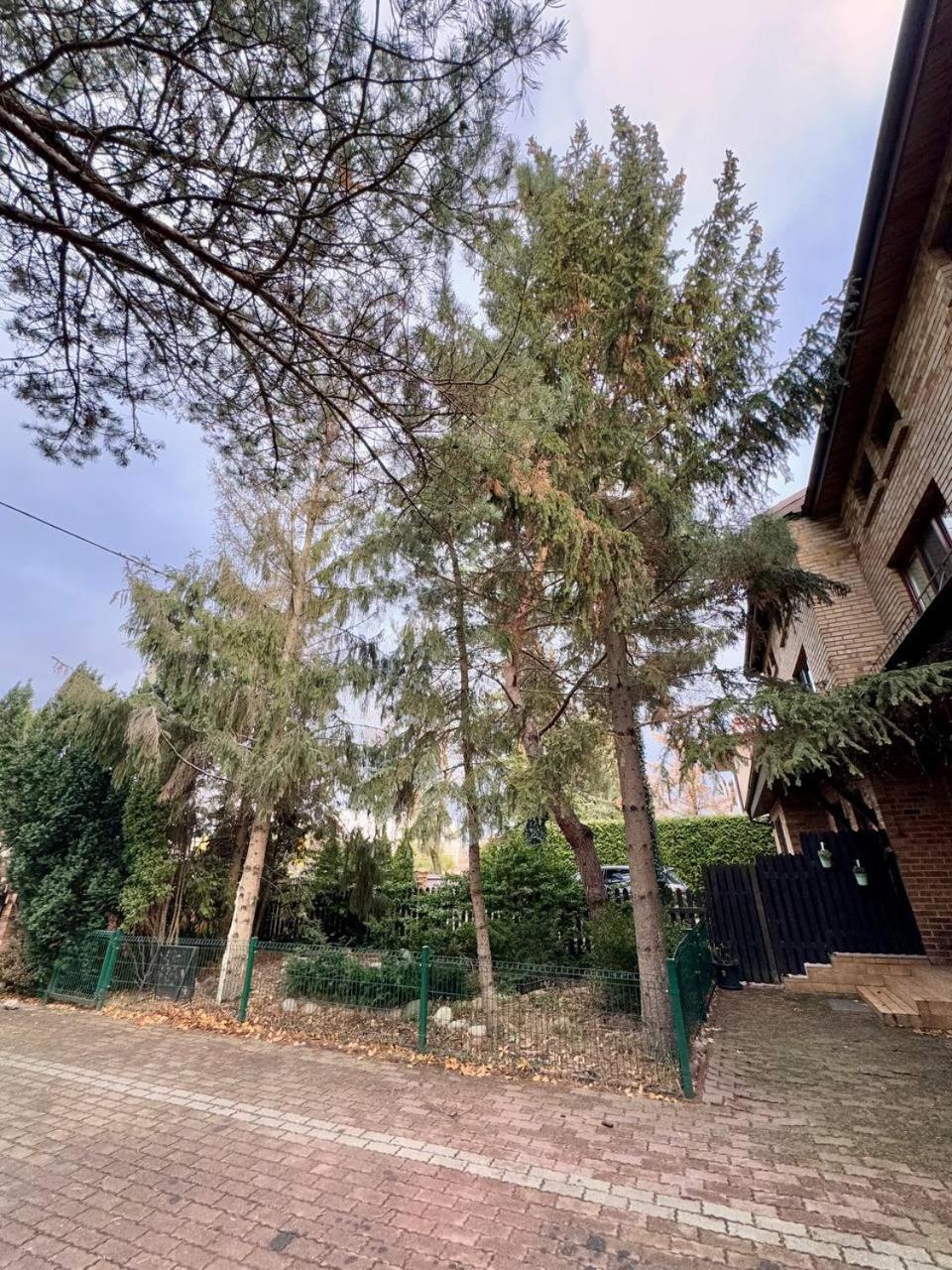 Vector Home Varşovia Exterior foto